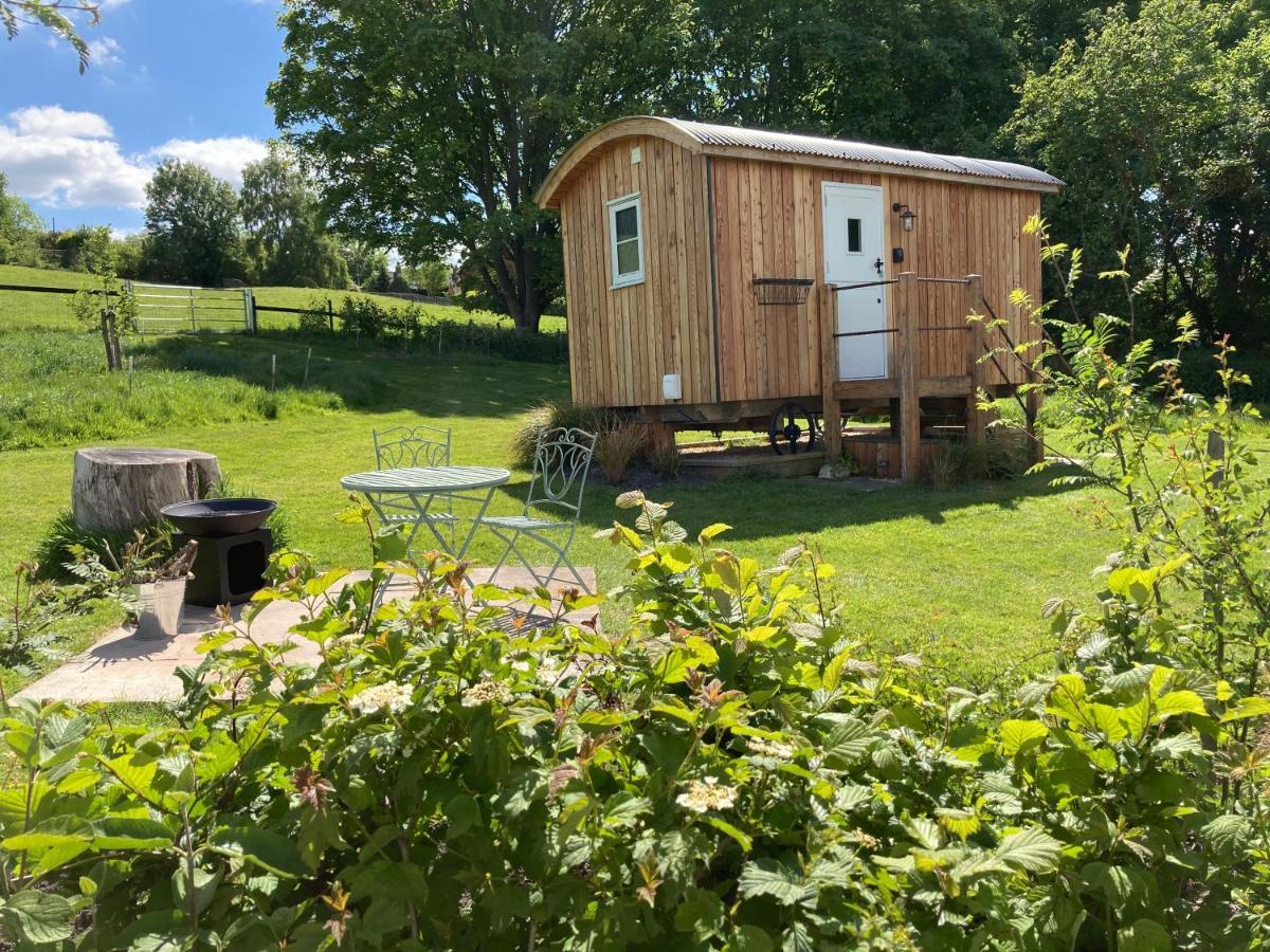 Slades Farm Glamping Villa Westbury  Luaran gambar